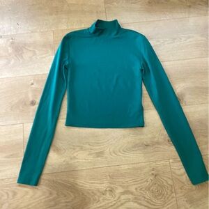 Aritzia Babaton Contour Turtleneck in Sagesse XS